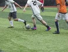 布莱顿主帅,怒烧战术板,逆境翻盘,万博manbetx体育平台,万博体育官网,万博体育app下载,ManBetX,SPORTS