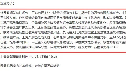 印尼超赛事解析：比分胜负及专家质合分析推荐